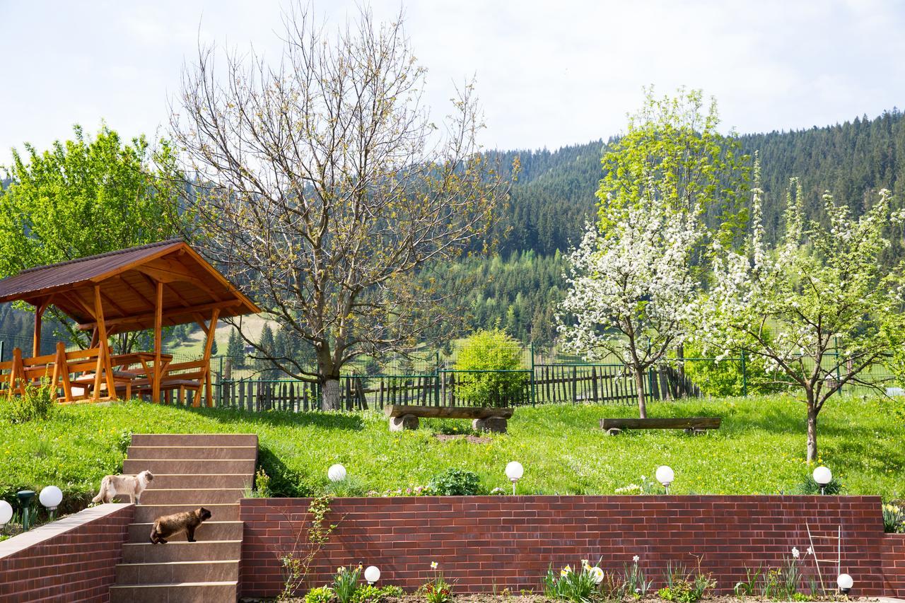 Pensiunea Casa-Stefanel ซาโดวา ภายนอก รูปภาพ